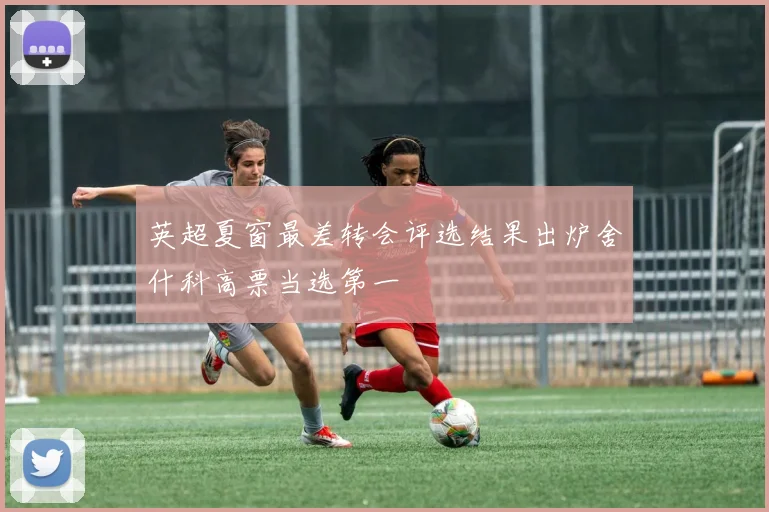 英超夏窗最差转会评选结果出炉舍什科高票当选第一