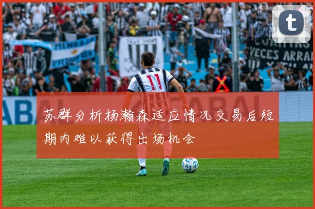 苏群分析杨瀚森适应情况交易后短期内难以获得出场机会