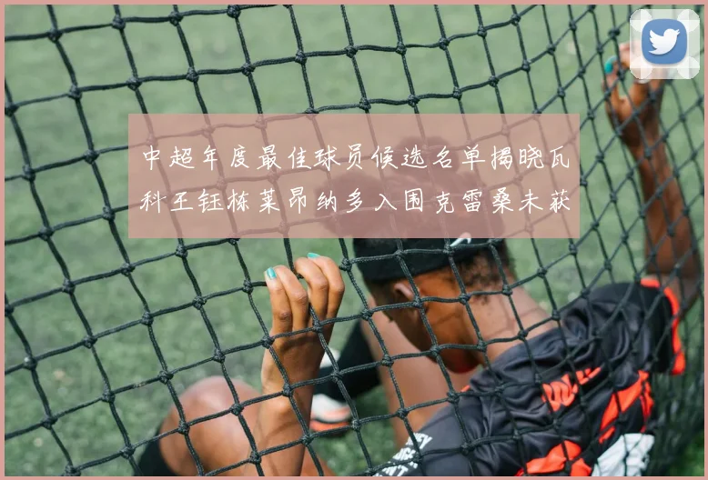 中超年度最佳球员候选名单揭晓瓦科王钰栋莱昂纳多入围克雷桑未获提名
